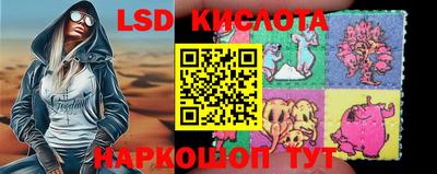 стаф Новозыбков