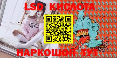 индика Обь