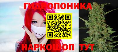 стаф Новозыбков
