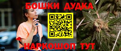 стаф Новозыбков