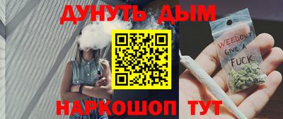 индика Обь