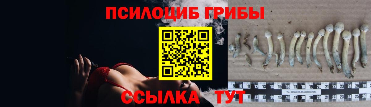 Каннабис  Гашиш  Советский  Мефедрон   Вход с VPN  Кокаин 